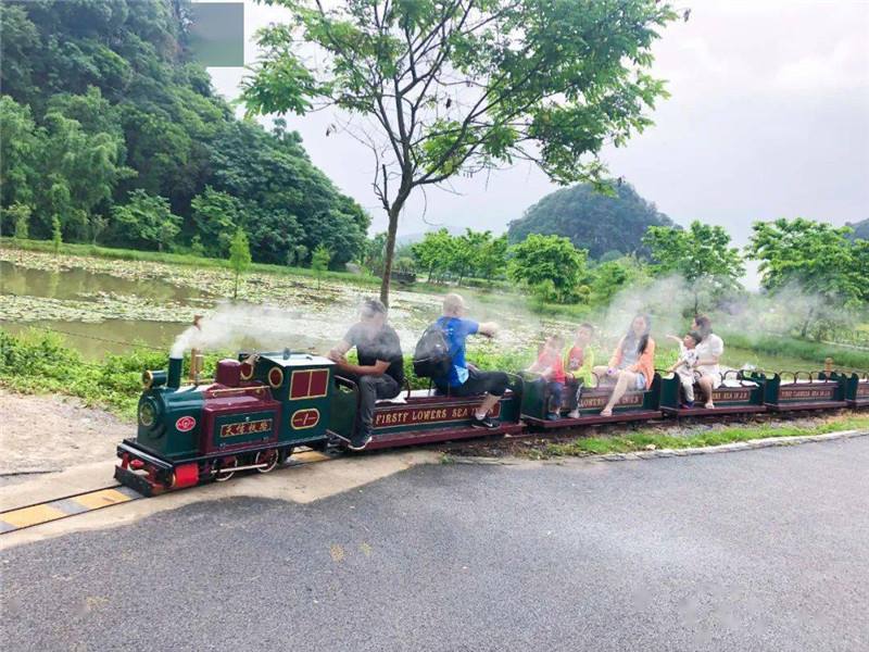 田園鄉(xiāng)村觀光小火車造價多少錢？